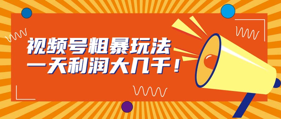 视频号粗暴玩法，一天利润大几千-搜易资源网