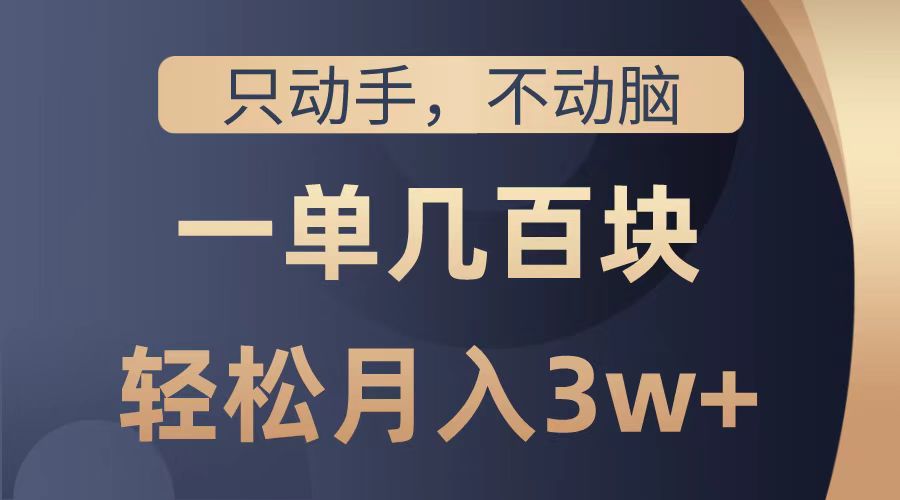 只动手不动脑，一单几百块，轻松月入2w+，看完就能直接操作，详细教程-搜易资源网
