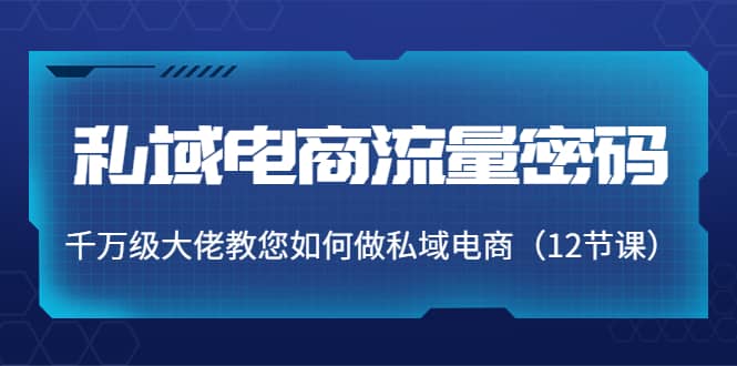私域电商流量密码：千万级大佬教您如何做私域电商（12节课）-搜易资源网