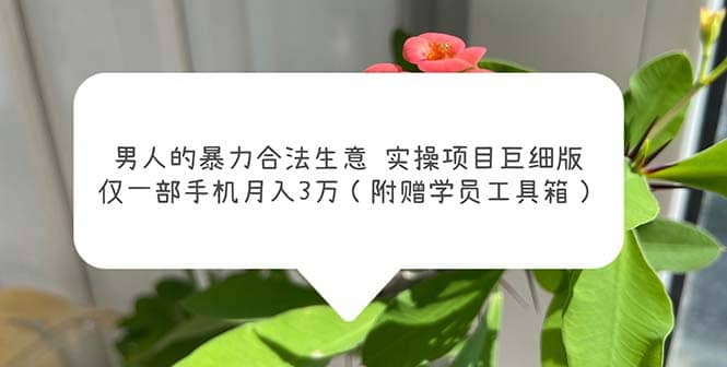 男人的暴力合法生意实操项目巨细版：仅一部手机月入3w（附赠学员工具箱）-搜易资源网