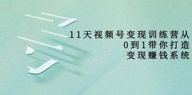 好望角·11天视频号变现训练营，从0到1打造变现赚钱系统（价值398）-搜易资源网