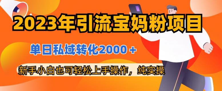 2023年引流宝妈粉项目，单日私域转化2000＋，新手小白也可轻松上手操作，纯实操-搜易资源网