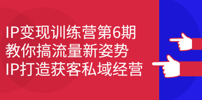 IP变现训练营第6期：教你搞流量新姿势，IP打造获客私域经营-搜易资源网