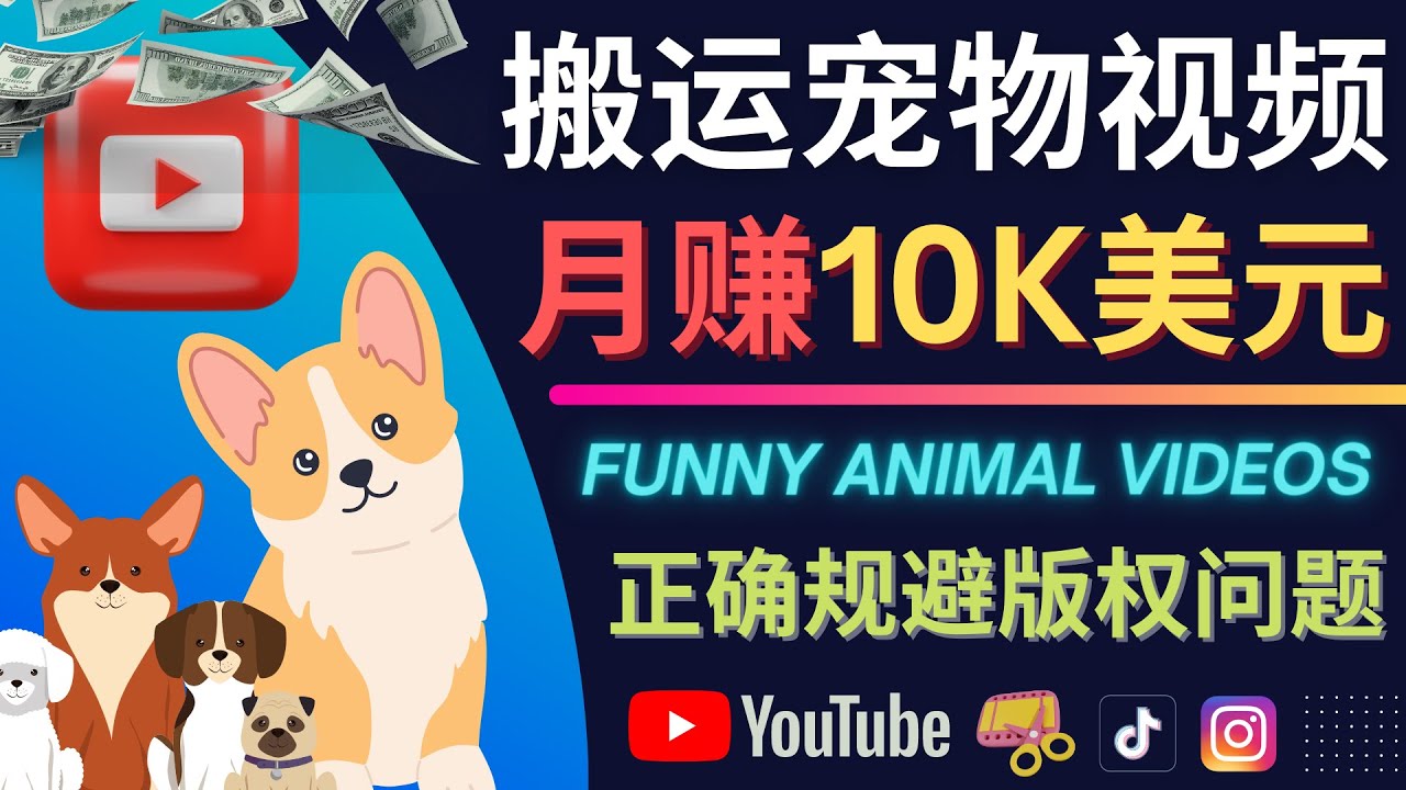 搬运TIKTOK视频到YouTube，并进行二次创作，月赚1万美元以上-搜易资源网