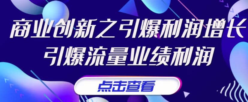 《商业创新之引爆利润增长》引爆流量业绩利润-搜易资源网