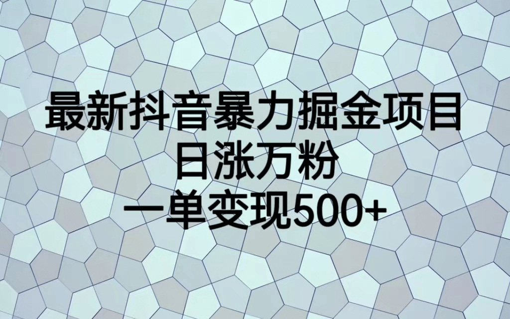 最火热的抖音暴力掘金项目，日涨万粉，多种变现方式，一单变现可达500+-搜易资源网