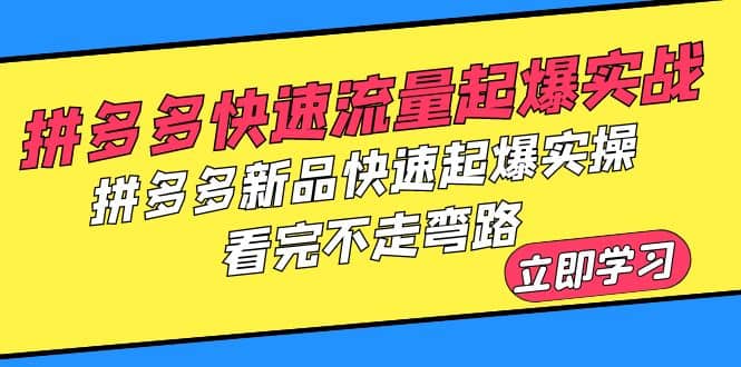 拼多多-快速流量起爆实战，拼多多新品快速起爆实操，看完不走弯路-搜易资源网