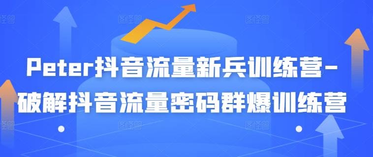 Peter抖音流量新兵训练营-破解抖音流量密码群爆训练营（新兵）-搜易资源网