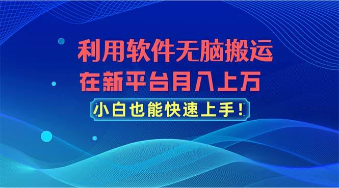 利用软件无脑搬运，在新平台月入上万，小白也能快速上手-搜易资源网