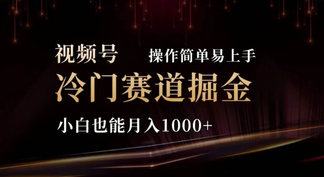 2024视频号冷门赛道掘金，操作简单轻松上手，小白也能月入1000+-搜易资源网