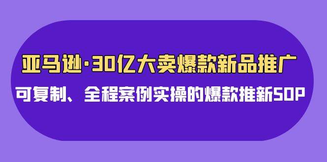 亚马逊30亿·大卖爆款新品推广，可复制、全程案例实操的爆款推新SOP-搜易资源网