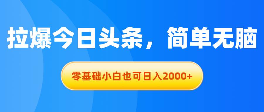 拉爆今日头条，简单无脑，零基础小白也可日入2000+-搜易资源网
