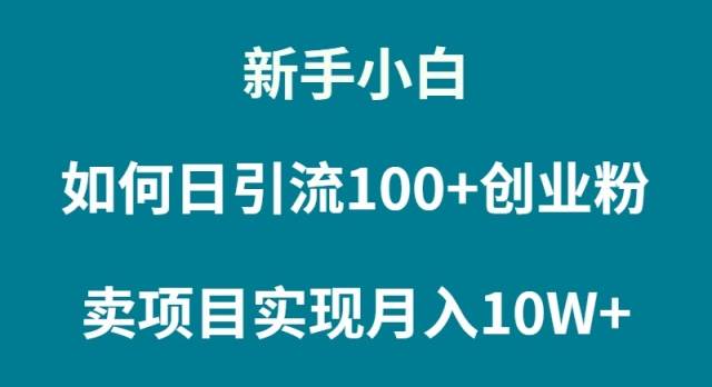 新手小白如何通过卖项目实现月入10W+-搜易资源网