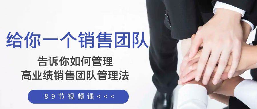 给你一个销售团队，告诉你如何管理，高业绩销售团队管理法（89节课）-搜易资源网