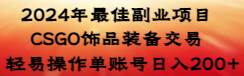 2024年最佳副业项目 CSGO饰品装备交易 轻易操作单账号日入200+-搜易资源网