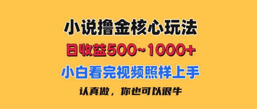 小说撸金核心玩法，日收益500-1000+，小白看完照样上手，0成本有手就行-搜易资源网