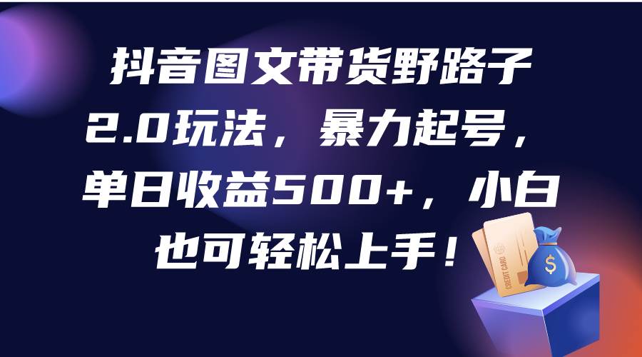 抖音图文带货野路子2.0玩法，暴力起号，单日收益500+，小白也可轻松上手！-搜易资源网