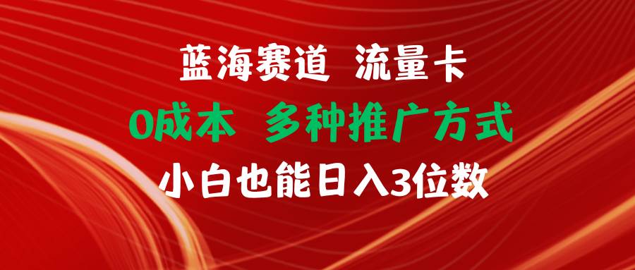 蓝海赛道 流量卡 0成本 小白也能日入三位数-搜易资源网