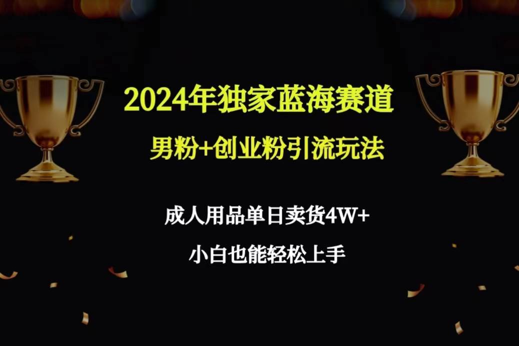 2024年独家蓝海赛道男粉+创业粉引流玩法，成人用品单日卖货4W+保姆教程-搜易资源网