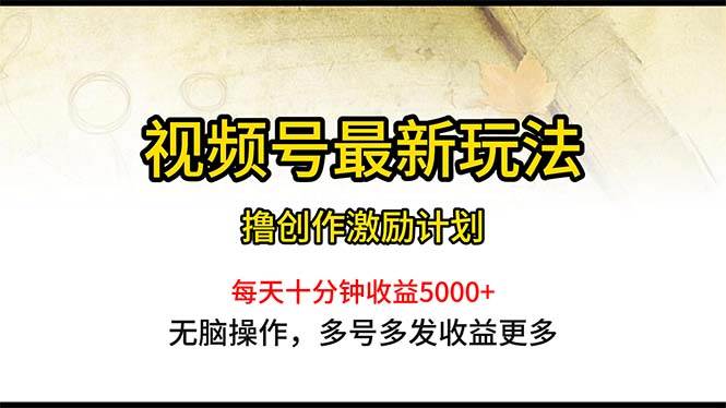 视频号最新玩法，每日一小时月入5000+-搜易资源网