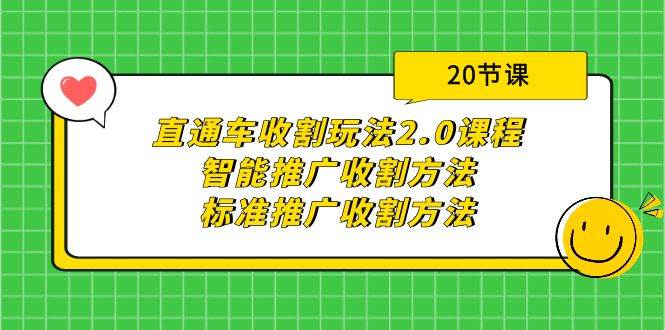 直通车收割玩法2.0课程：智能推广收割方法+标准推广收割方法（20节课）-搜易资源网
