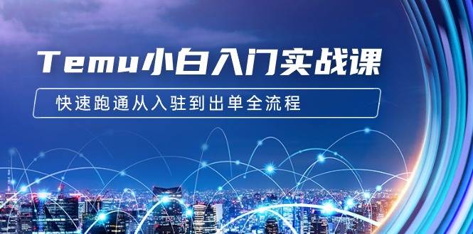 Temu小白入门实战课：跨境拼多多电商培训 快速跑通从入驻到出单全流程-12节-搜易资源网