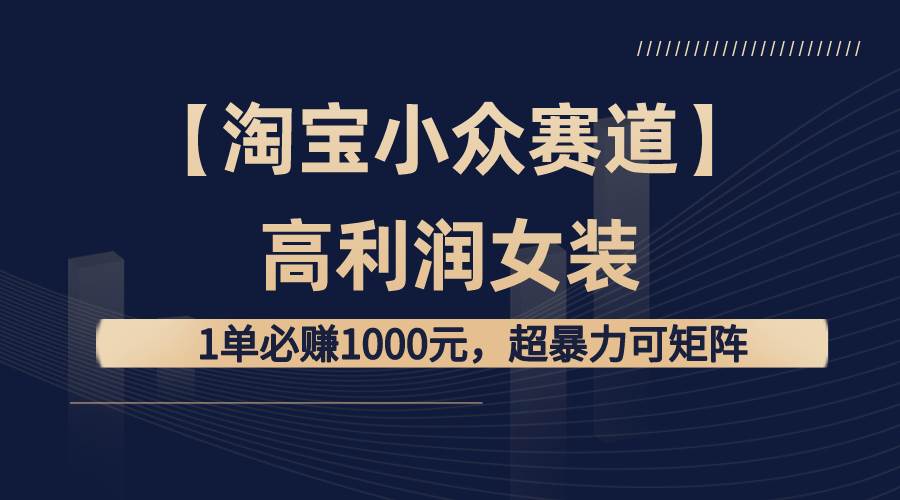 【淘宝小众赛道】高利润女装：1单必赚1000元，超暴力可矩阵-搜易资源网