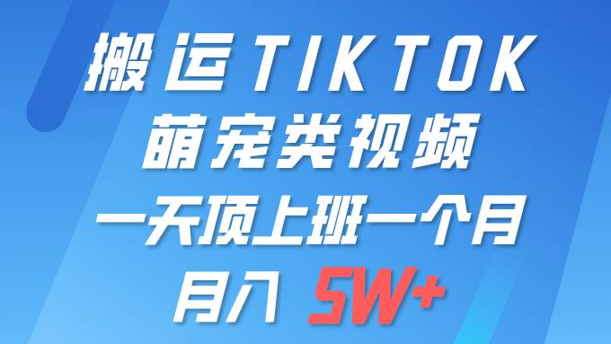 一键搬运TIKTOK萌宠类视频 一部手机即可操作 所有平台均可发布 轻松月入5W+-搜易资源网