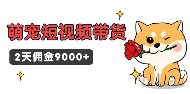 东哲日记·萌宠短视频带货，2天佣金9000+-搜易资源网