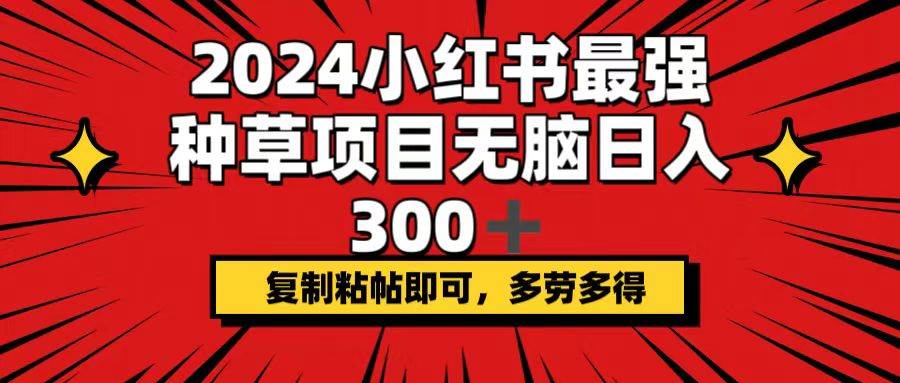 2024小红书最强种草项目，无脑日入300+，复制粘帖即可，多劳多得-搜易资源网