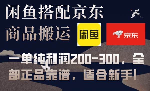 闲鱼搭配京东备份库搬运，一单纯利润200-300，全部正品靠谱，适合新手！-搜易资源网