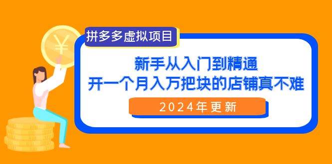 拼多多虚拟项目：入门到精通，开一个月入万把块的店铺 真不难（24年更新）-搜易资源网