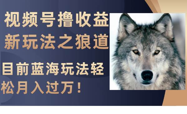 视频号撸收益新玩法之狼道，目前蓝海玩法轻松月入过万！-搜易资源网