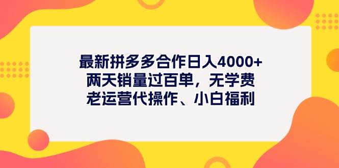 最新拼多多项目日入4000+两天销量过百单，无学费、老运营代操作、小白福利-搜易资源网