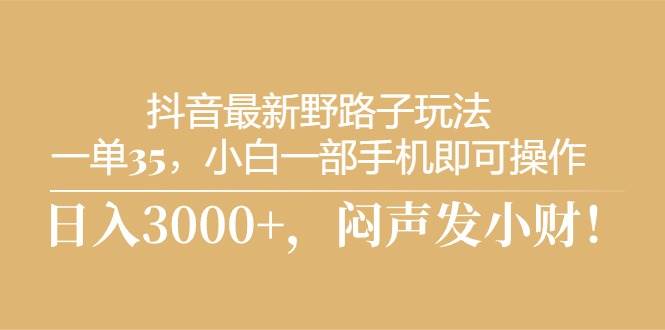 抖音最新野路子玩法，一单35，小白一部手机即可操作，，日入3000+，闷…-搜易资源网