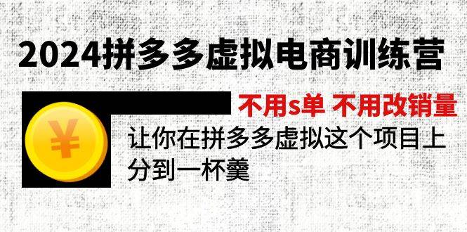 2024拼多多虚拟电商训练营 不s单 不改销量  做虚拟项目分一杯羹(更新10节)-搜易资源网