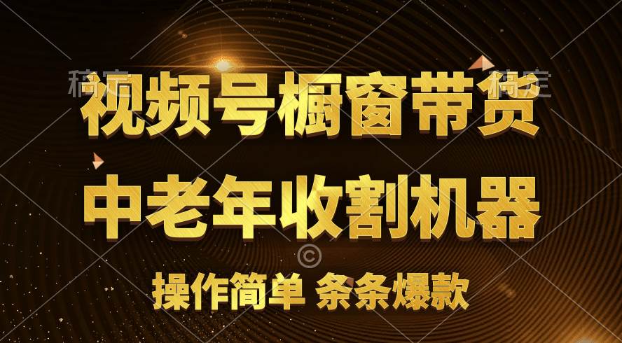 [你的孩子成功取得高位]视频号最火爆赛道，橱窗带货，流量分成计划，条…-搜易资源网