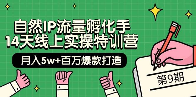 自然IP流量孵化手 14天线上实操特训营【第9期】月入5w+百万爆款打造 (74节)-搜易资源网