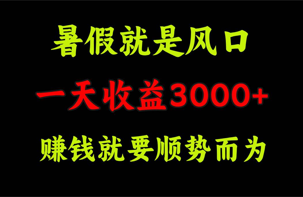 一天收益3000+ 赚钱就是顺势而为，暑假就是风口-搜易资源网
