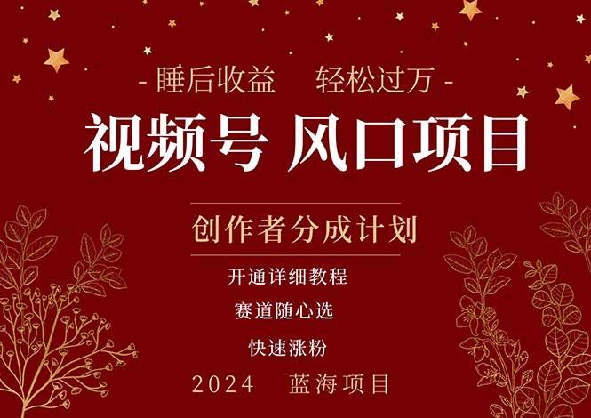 拥有睡眠收益的微信视频号大风口项目，轻松月入过万+，多赛道选择，可…-搜易资源网