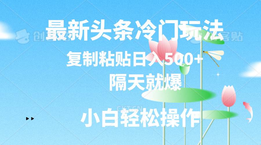 最新头条冷门玩法，隔天就爆，复制粘贴日入500+-搜易资源网