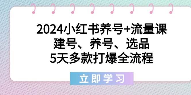 2024小红书养号+流量课：建号、养号、选品，5天多款打爆全流程-搜易资源网