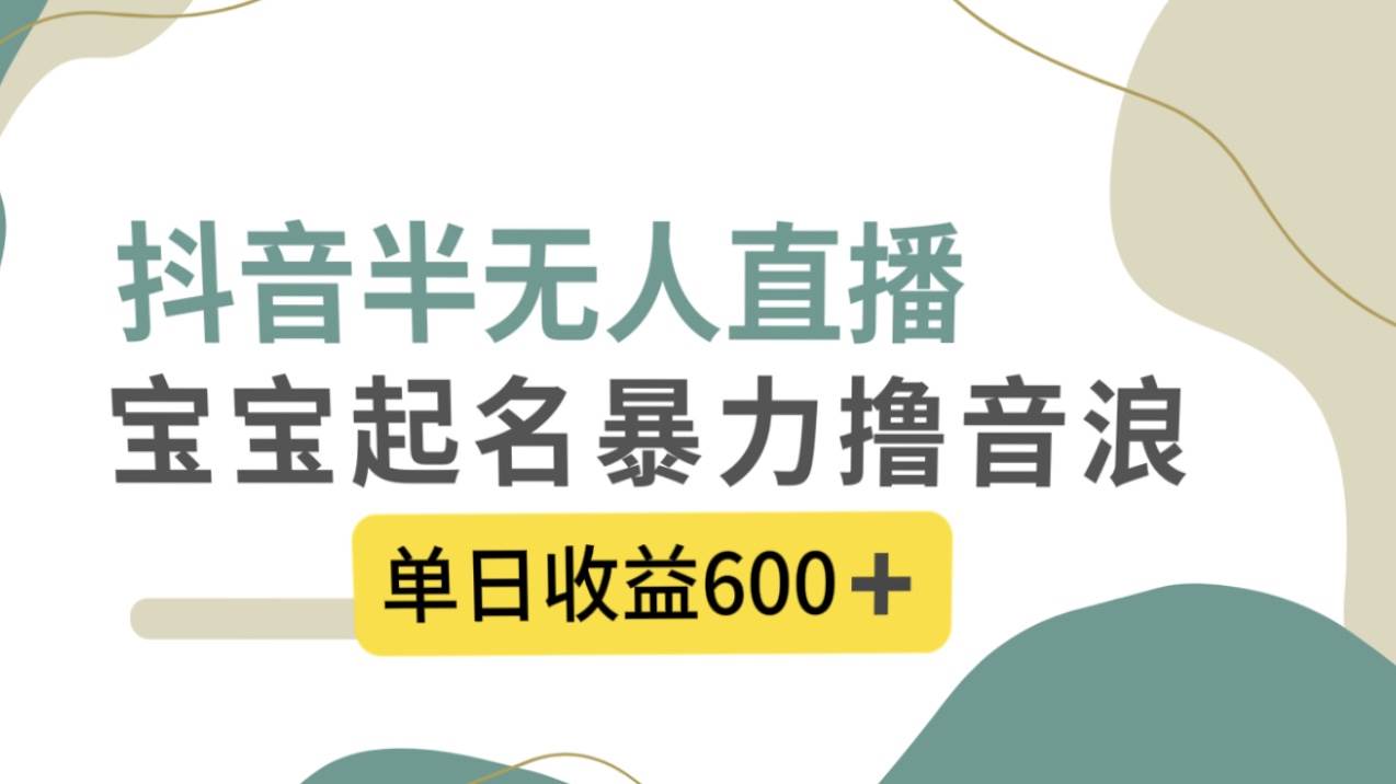 抖音半无人直播，宝宝起名，暴力撸音浪，单日收益600+-搜易资源网