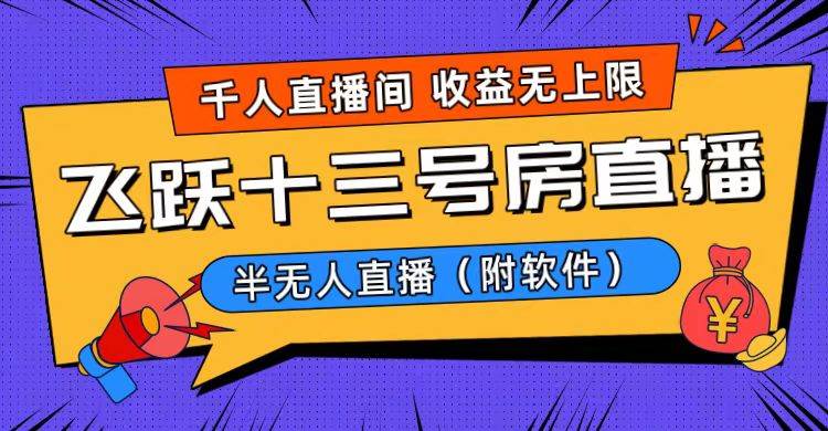 爆火飞跃十三号房半无人直播，一场直播上千人，日入过万！（附软件）-搜易资源网