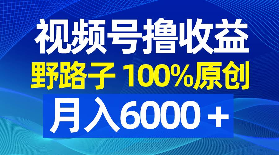 视频号野路子撸收益，100%原创，条条爆款，月入6000＋-搜易资源网