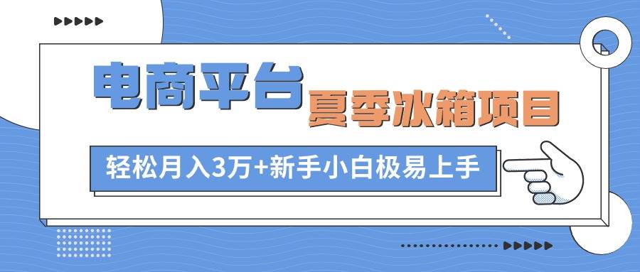 电商平台夏季冰箱项目，轻松月入3万+，新手小白极易上手-搜易资源网