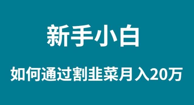 新手小白如何通过割韭菜月入 20W-搜易资源网