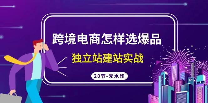 跨境电商怎样选爆品，独立站建站实战（20节高清无水印课）-搜易资源网
