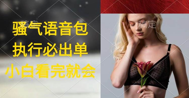执行就出单，日入2000+，超火骚气语音包，小白看完课程就能马上实操-搜易资源网