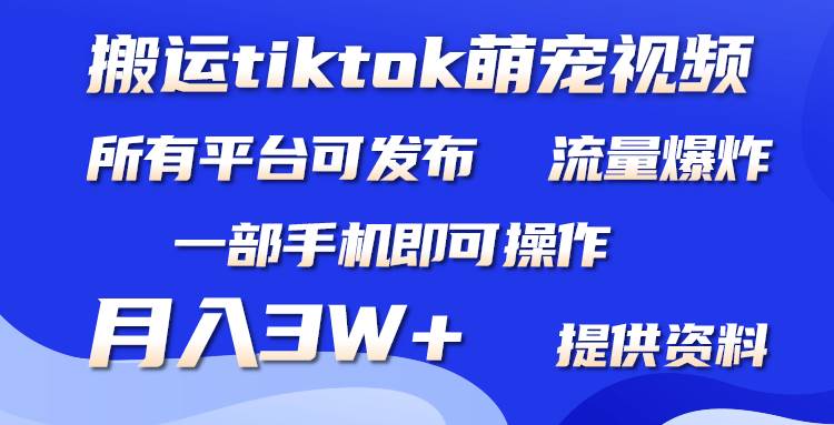 搬运Tiktok萌宠类视频，一部手机即可。所有短视频平台均可操作，月入3W+-搜易资源网